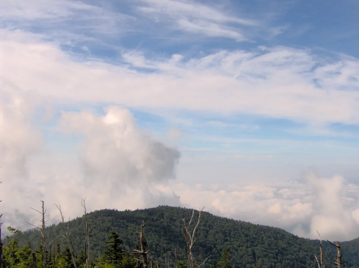 Andrews Bald surrounded by low clouds and haze in Great Smoky Mountains National Park