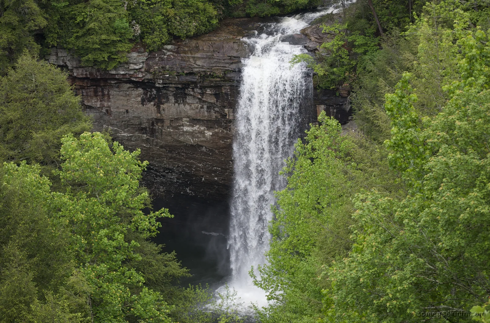Foster Falls dropping from a sandstone cliff into a pool in Tennessee